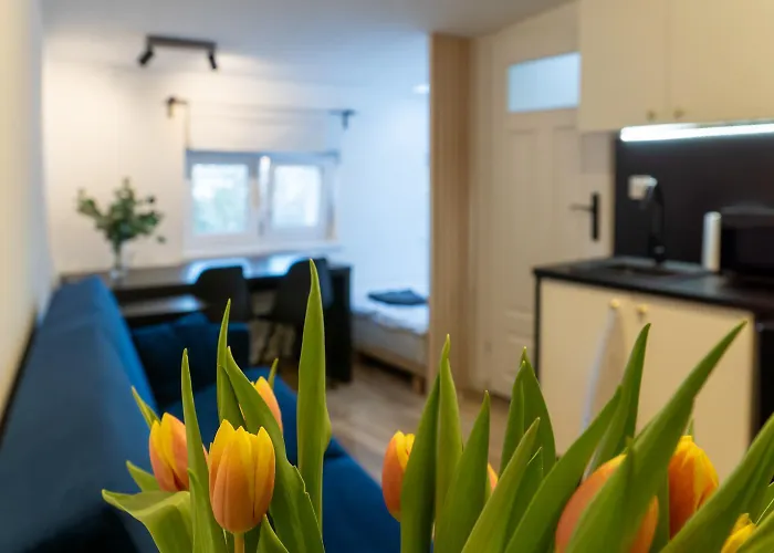 Mieszkanie Przy Bazarku - Apc شقة